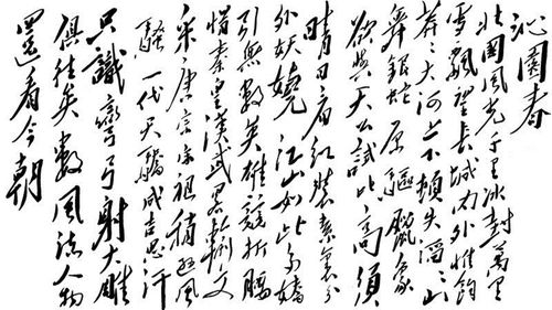 沁园春·雪